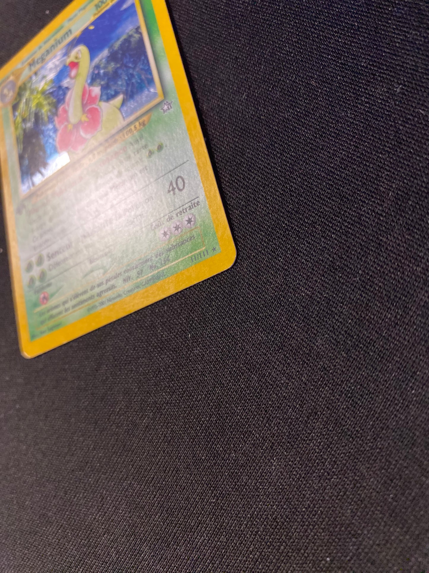 Carte Pokémon Meganium ED1 11/111 Néo genesis