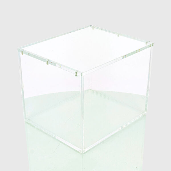 Protection Acrylique - Mini tin display 10 - Phoenix shield