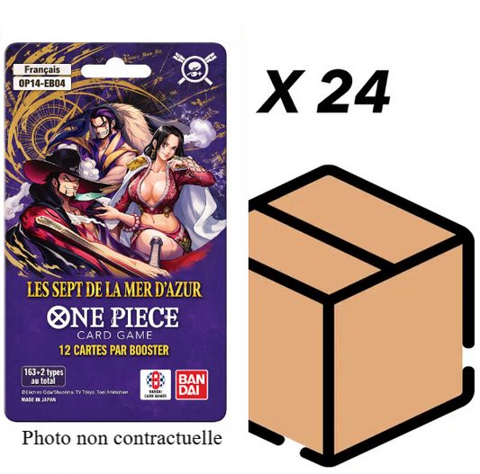Case de 24 Blister One piece OP-14 FR