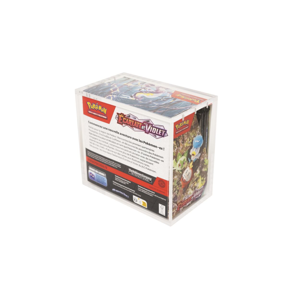 Protection Acrylique - Display - Pokémon - Treasurewise